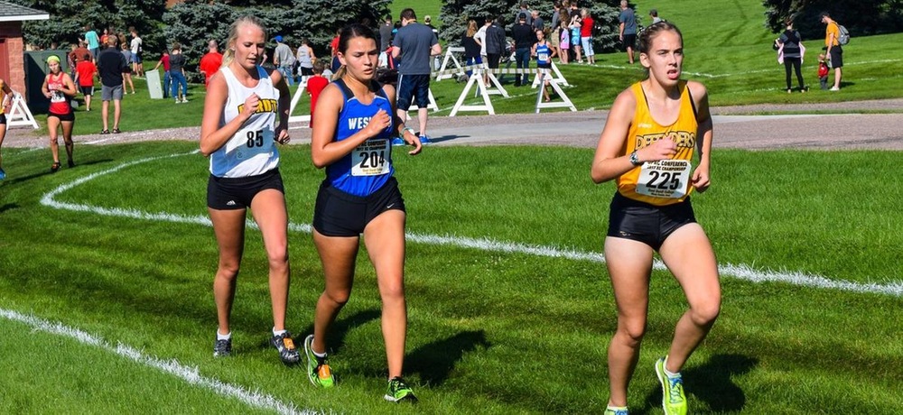 Cross country competes at Mount Marty Invitational