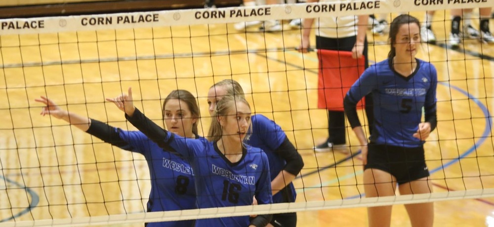 Tiger volleyball drops two GPAC games over the weekend