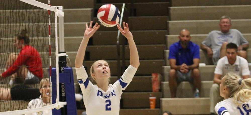 Volleyball downs Lancers in conference action
