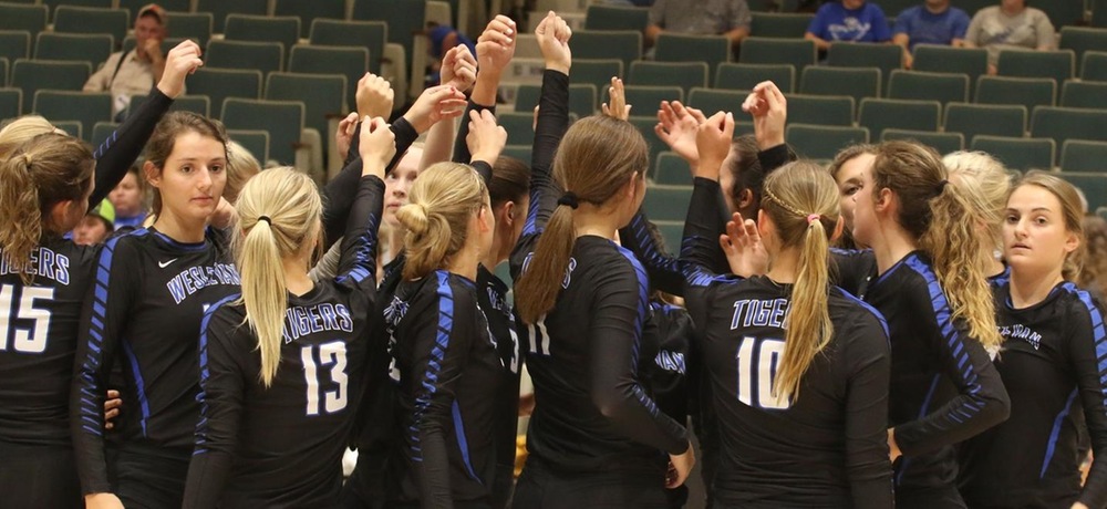 DWU volleyball drops contest to Briar Cliff