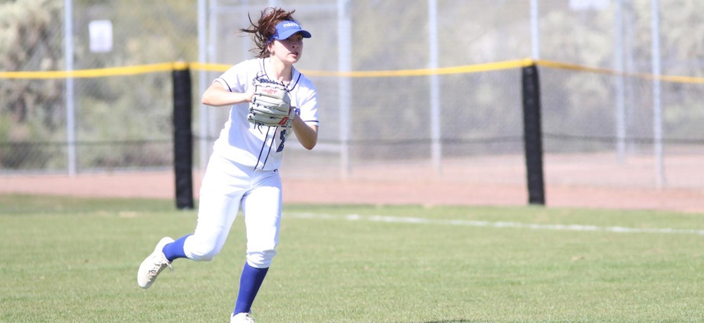 Tigers sweep Sterling in doubleheader