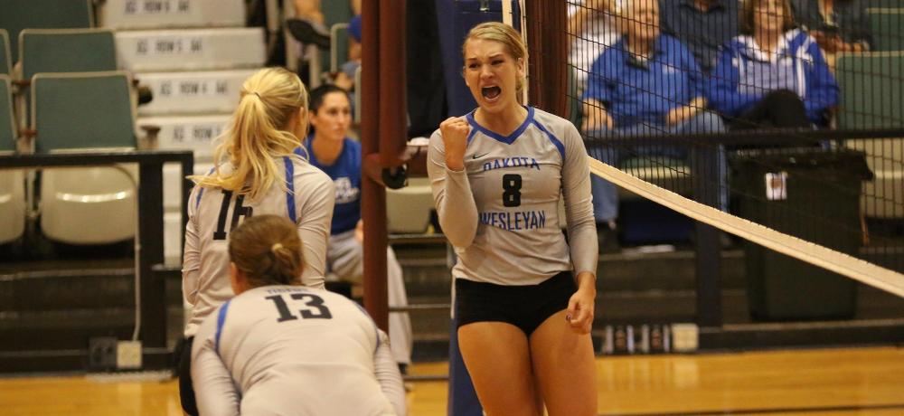 Tiger volleyball players honored with postseason accolades